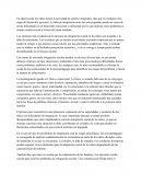 Integracion y desintegracion escolar