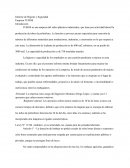 Informe de Higiene y Seguridad Empresa TUBOS