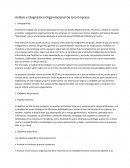 Análisis y diagnostico organizacional