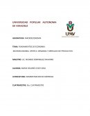 FUNDAMENTOS DE ECONOMIA
