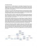 Cuestionario control interno