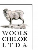 Plan de negocios Wools-Chiloe