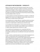 Actividad de metacognicion de la materia