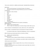 OBSERVACION MACRO Y MICROSCOPIA DE HONGOS