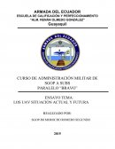 LOS UAV SITUACIÓN ACTUAL Y FUTURA