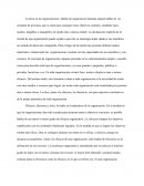 La ética en las organizaciones. Eficacia, eficiencia y ética