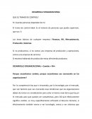 Desarrollo Organizacional