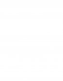 Evaluacion de Fracciones Quinto Año Basico