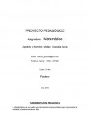 Proyecto Pedagógico de Matemática