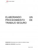 Elaboración Procedimiento Seguro de Trabajo área Pintado OFEN HAUS