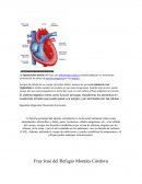 La hipertensión arterial (HTA) es una enfermedad crónica