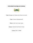 Despegue las Alianzas entre líneas de aviación