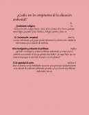 ¿Cuáles son los componentes de la educación ambiental?