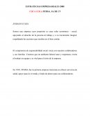 ESTRATEGIAS EMPRESARIALES 2008 COCA COLA FEMSA. SA DE CV