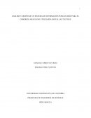 COMO ES EL SISTEMA DE INFORMACION PUBLICITARIO