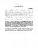 La fiebre de chikungunya