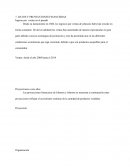 Proyeccion financiera