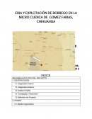 CRIA Y EXPLOTACIÓN DE BORREGO EN LA MICRO CUENCA DE GOMEZ FARIAS, CHIHUAHUA