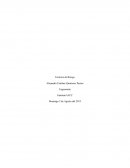 Control 8 Ergonomia Factores de Riesgo