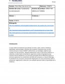 Evidencia 1 administracion la empresa Tostamex