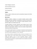 Se puede Observar y realizar un herbario para conocer las características de algunas de las familias del reino plantae.