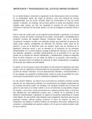 Relevancia del Juicio de Amparo en México