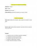 Descripción de la experiencia de aprendizaje