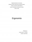 Ministerio del Poder Popular para la Educación Superior Ergonomía