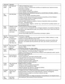 Lenguajes de programación