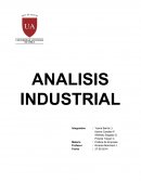 El número de compradores y su tamaño relativos Analicis Industrial