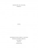 Unad resolucion rectoral