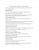 Discriminacion en laboral en lima