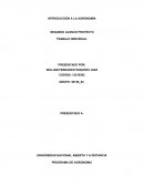 TIPIFICACION DE LOS CULTIVOS DE PANCOGER DEL DEPARTAMENTO DEL HUILA