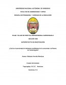 Cuál es el porcentaje de habitantes analfabetas de la comunidad de Planes, de Yamaranguila?