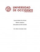 Trabajo final metodo cartesiano