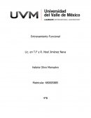 Ensayo sobre ¿Qué es hemiplejia?