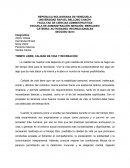 Tiempo libre, calidad de vida y recreación