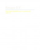 DISCAPACIDAD VISUAL (DV)