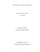 Importancia de los medios de transporte