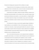 Descripción de estrategias para la negociación efectiva utilizados en un equipo