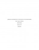 RIESGOS EN MOVIMIENTOS Y POSTURAS DE LOS TRABAJADORES la empresa A5