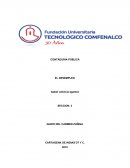 CONTADURIA PÚBLICA EL DESEMPLEO