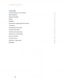 Como se da una toma de deciciones en una empreesa