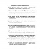 Cadena de suministros