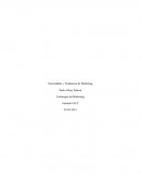 Necesidades y tendencias de marketing