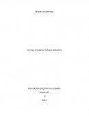 DEBERES Y DERECHOS INSTITUCION EDUCATIVA ESTAMBUL