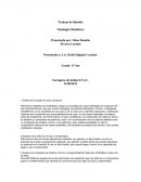 Trabajo de filosofía Ontología-Metafisica