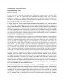 Reflexiones de una pequeña casa