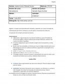 Evidencia 1 caso Sertec SA de CV