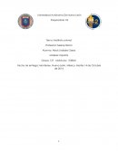 Preparatoria #2 Tema: Maltrato animal